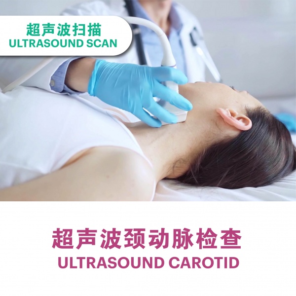 carotid_1394477514